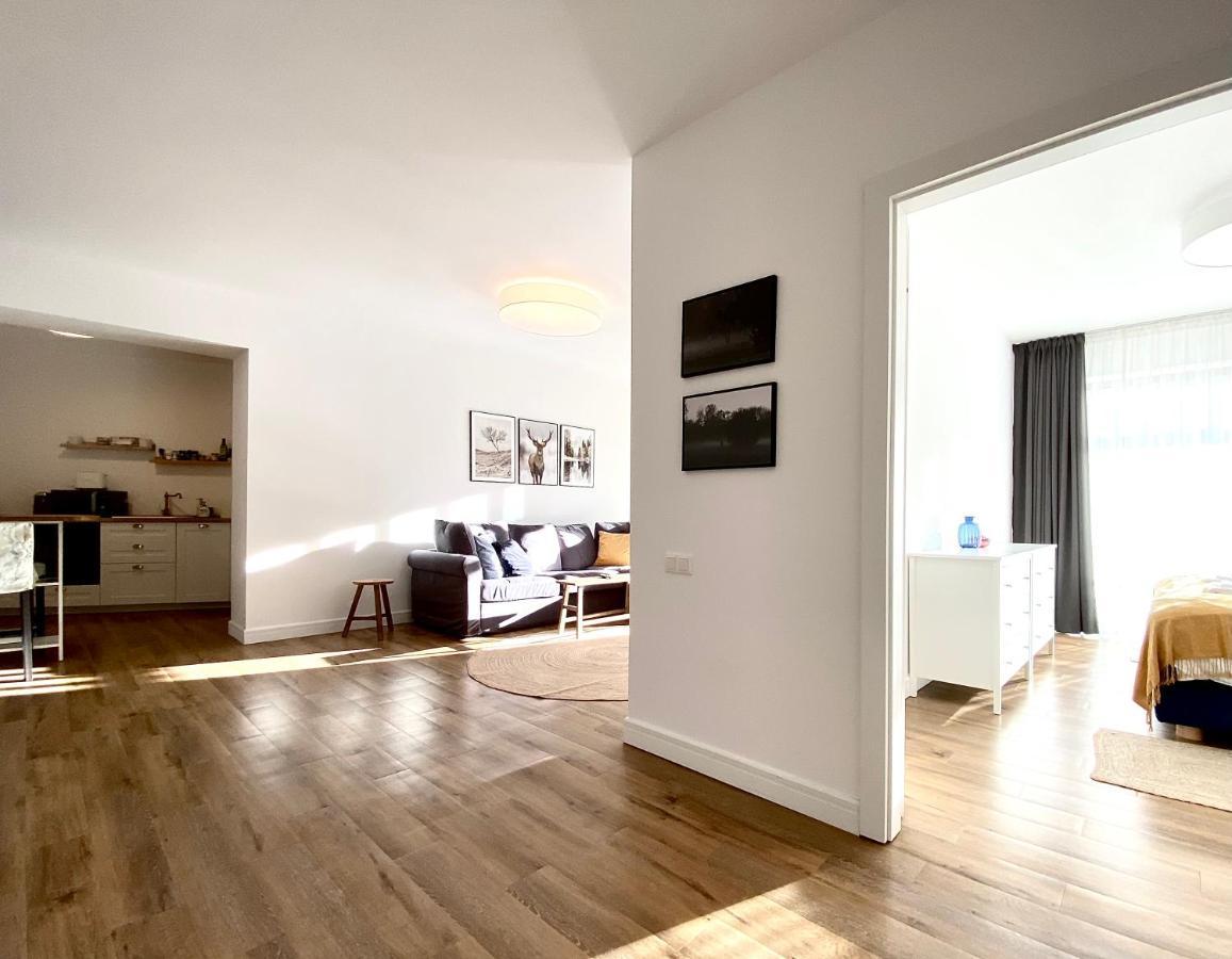 Cosy Hollow - Pet Friendly Brasov Bagian luar foto