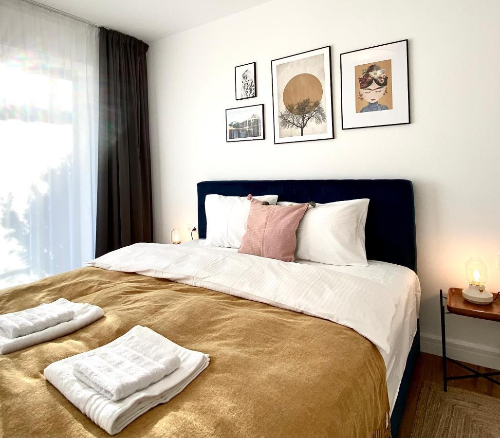 Cosy Hollow - Pet Friendly Brasov Bagian luar foto