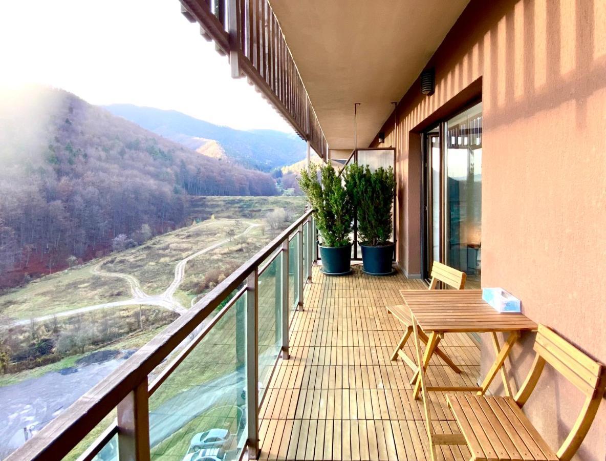 Cosy Hollow - Pet Friendly Brasov Bagian luar foto