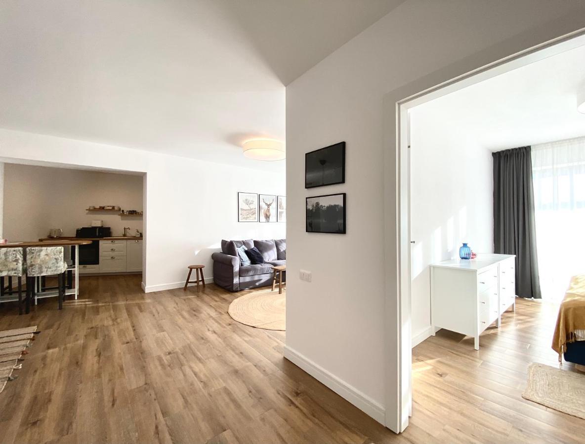 Cosy Hollow - Pet Friendly Brasov Bagian luar foto
