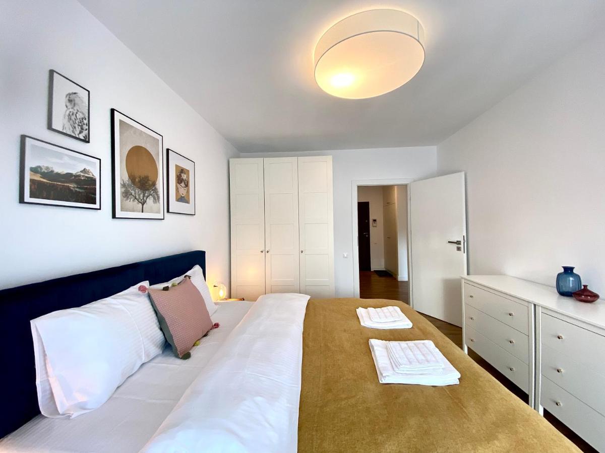 Cosy Hollow - Pet Friendly Brasov Bagian luar foto